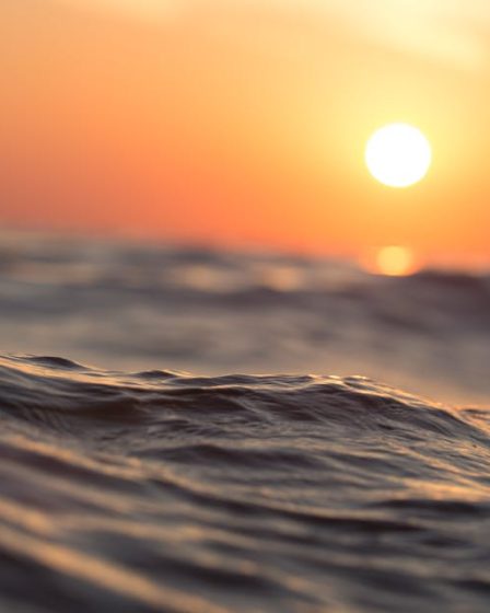 découvrez les plus belles plages du monde à travers notre sélection de destinations de rêve. profitez du soleil, du sable fin et de l'eau cristalline sur des plages paradisiaques.