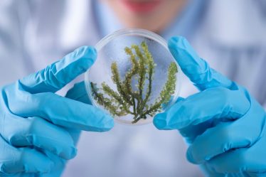 découvrez les dernières actualités sur discovery, le service de streaming incontournable pour explorer un monde de divertissement et de découverte.