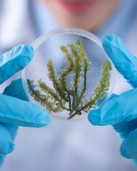 découvrez les dernières actualités sur discovery, le service de streaming incontournable pour explorer un monde de divertissement et de découverte.