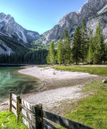 découvrez la beauté de la nature et explorez ses merveilles avec notre sélection d'articles, de photos et de vidéos captivantes.