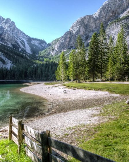 découvrez la beauté de la nature et explorez ses merveilles avec notre sélection d'articles, de photos et de vidéos captivantes.