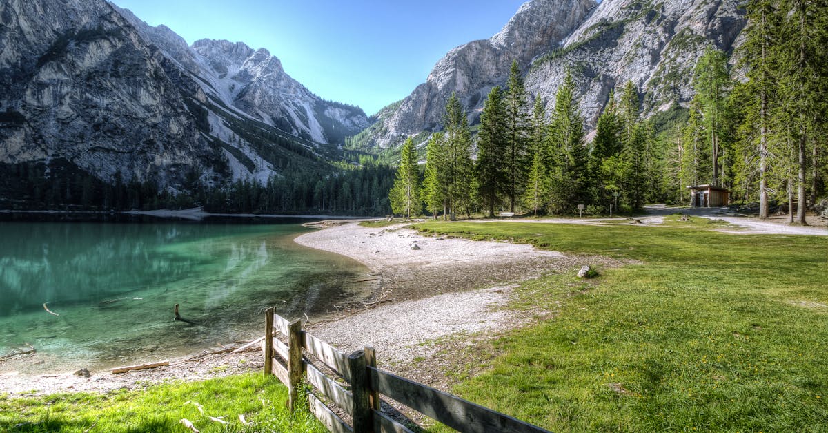 découvrez la beauté de la nature et explorez ses merveilles avec notre sélection d'articles, de photos et de vidéos captivantes.