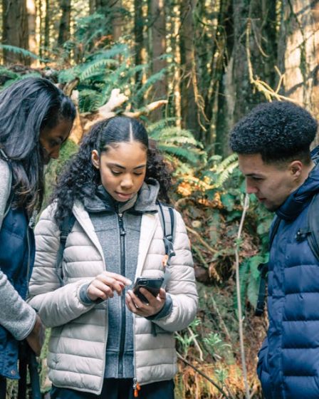 découvrez les meilleures randonnées dog-friendly en savoie pour profiter de la nature avec votre chien.