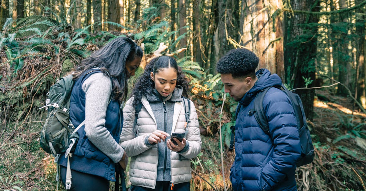 découvrez les meilleures randonnées dog-friendly en savoie pour profiter de la nature avec votre chien.