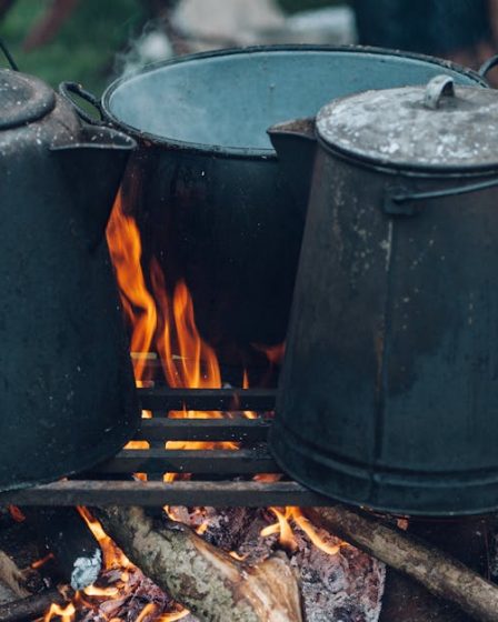 découvrez nos campings pour des vacances en pleine nature. profitez de l'air frais, des activités de plein air et de moments de détente en famille ou entre amis.