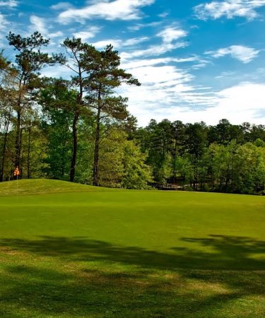 découvrez un lieu de détente et de loisirs en plein air avec le parc, parfait pour flâner, pique-niquer et profiter de la nature.