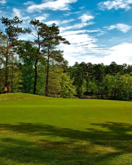 découvrez un lieu de détente et de loisirs en plein air avec le parc, parfait pour flâner, pique-niquer et profiter de la nature.
