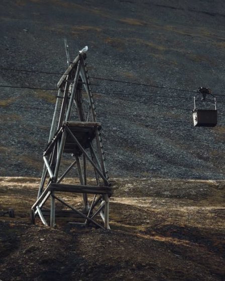 découvrez tout sur les cable cars: histoire, fonctionnement et attractions, pour une expérience inoubliable à san francisco.