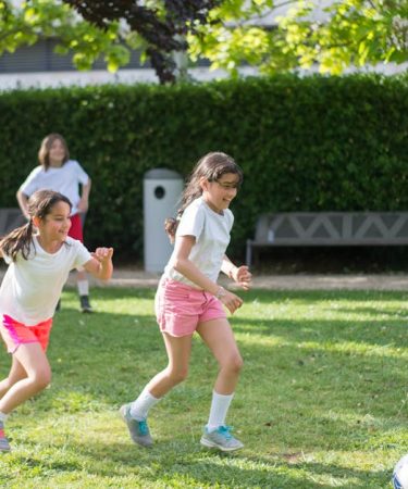 découvrez les activités dog-friendly dans le loiret pour des moments mémorables en compagnie de votre chien.