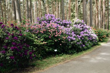 découvrez floral park, un endroit plein de charme et de nature, idéal pour les amoureux des jardins et des promenades en plein air.