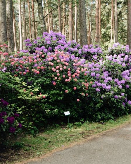 découvrez floral park, un endroit plein de charme et de nature, idéal pour les amoureux des jardins et des promenades en plein air.