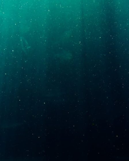 découvrez l'exploration sous un nouvel angle avec nos expériences uniques et inoubliables, pour une aventure sans limites.