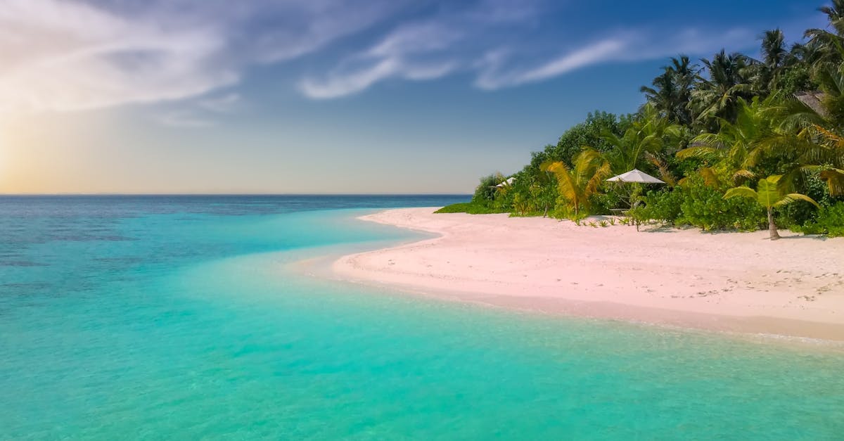 découvrez les plus belles plages et les paysages ensoleillés grâce à notre guide de voyage sur les plages paradisiaques.
