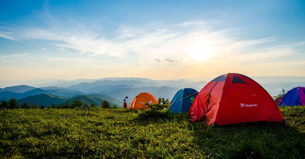 découvrez notre camping au cœur de la nature pour des vacances inoubliables. profitez de la tranquillité, des activités en plein air et de l'ambiance conviviale, tout en vous ressourçant au contact de la nature.