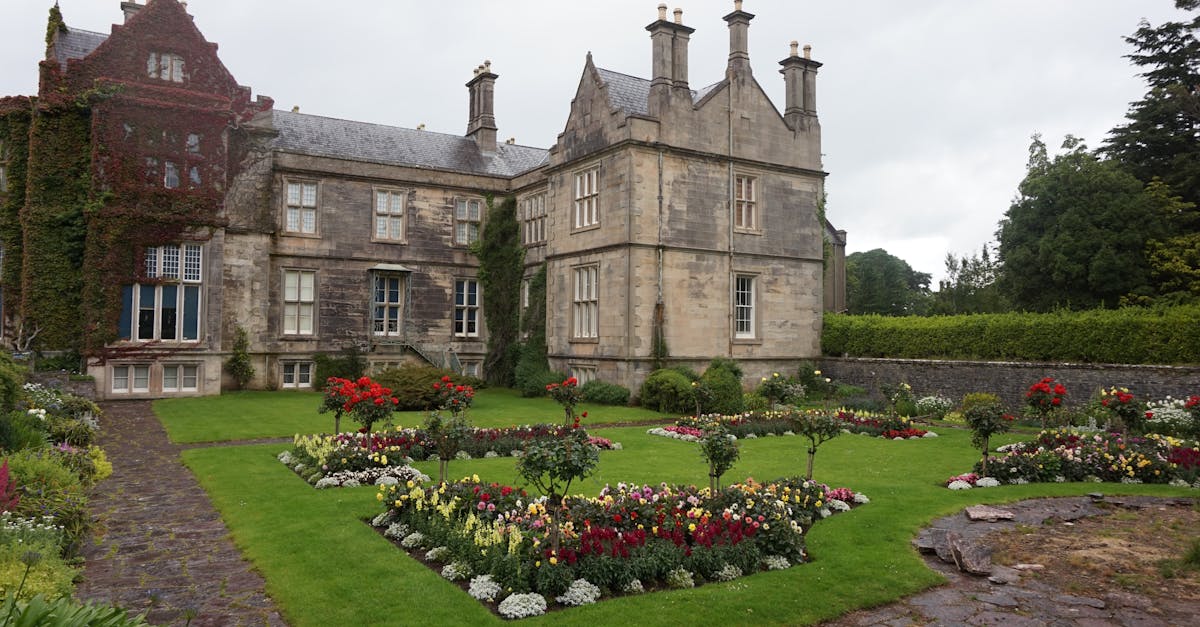 découvrez le majestueux parc du château de chambord, un joyau de la renaissance française où s'entremêlent nature luxuriante et architecture grandiose.