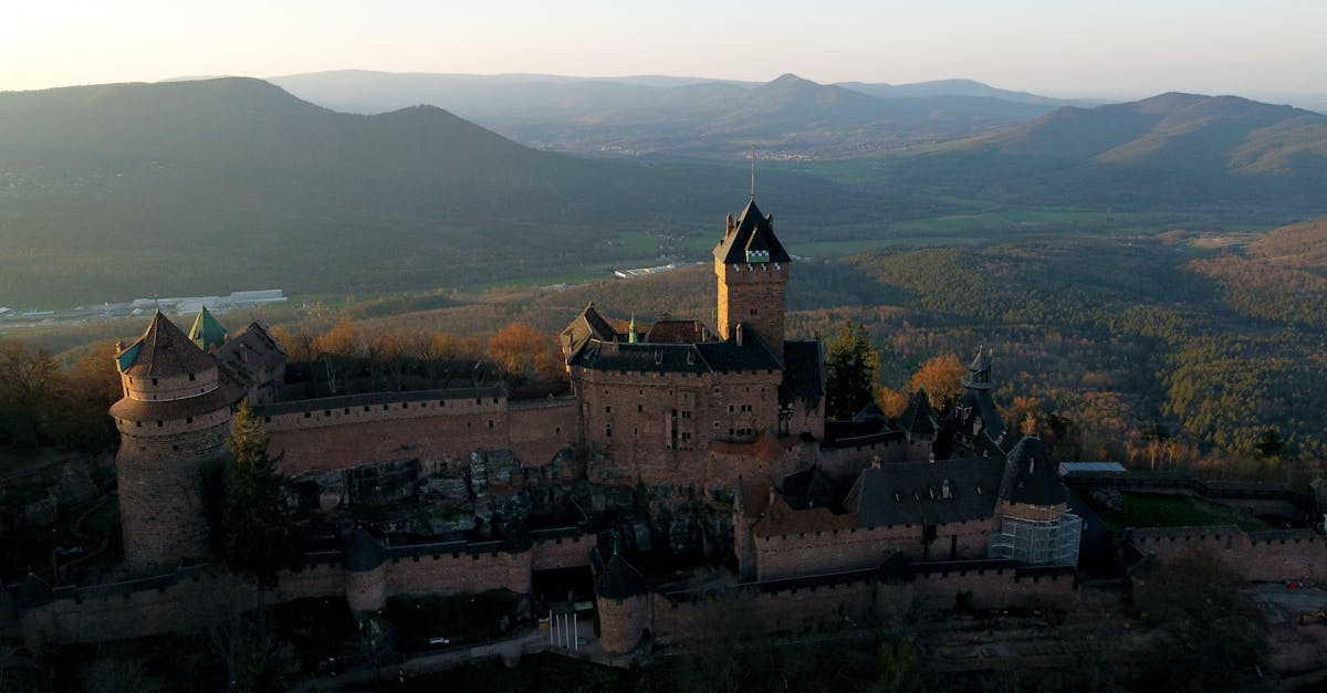 découvrez l'histoire fascinante du château du clos lucé, dernière demeure de léonard de vinci, à travers ses jardins, ses expositions et ses ateliers interactifs.