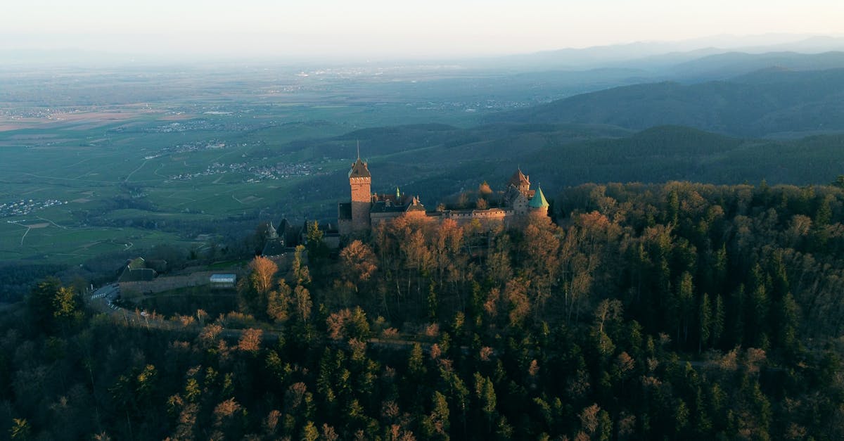 découvrez le château du clos lucé, dernière demeure de léonard de vinci, où l'histoire et l'art se rencontrent dans un cadre enchanteur au cœur de la france.