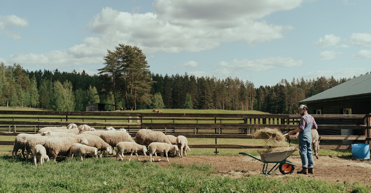 découvrez la gamme ewer et trouvez le produit idéal pour vos besoins. qualité et innovation au rendez-vous.