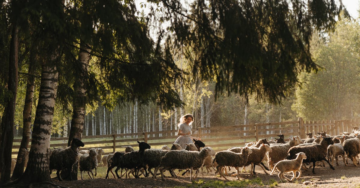 découvrez ewer, une expérience unique de haute qualité pour votre bien-être et votre quotidien. découvrez nos produits et services innovants dès maintenant.