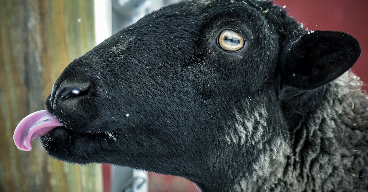 découvrez la gamme de produits ewer et trouvez l'accessoire parfait pour votre quotidien. qualité et design au rendez-vous !