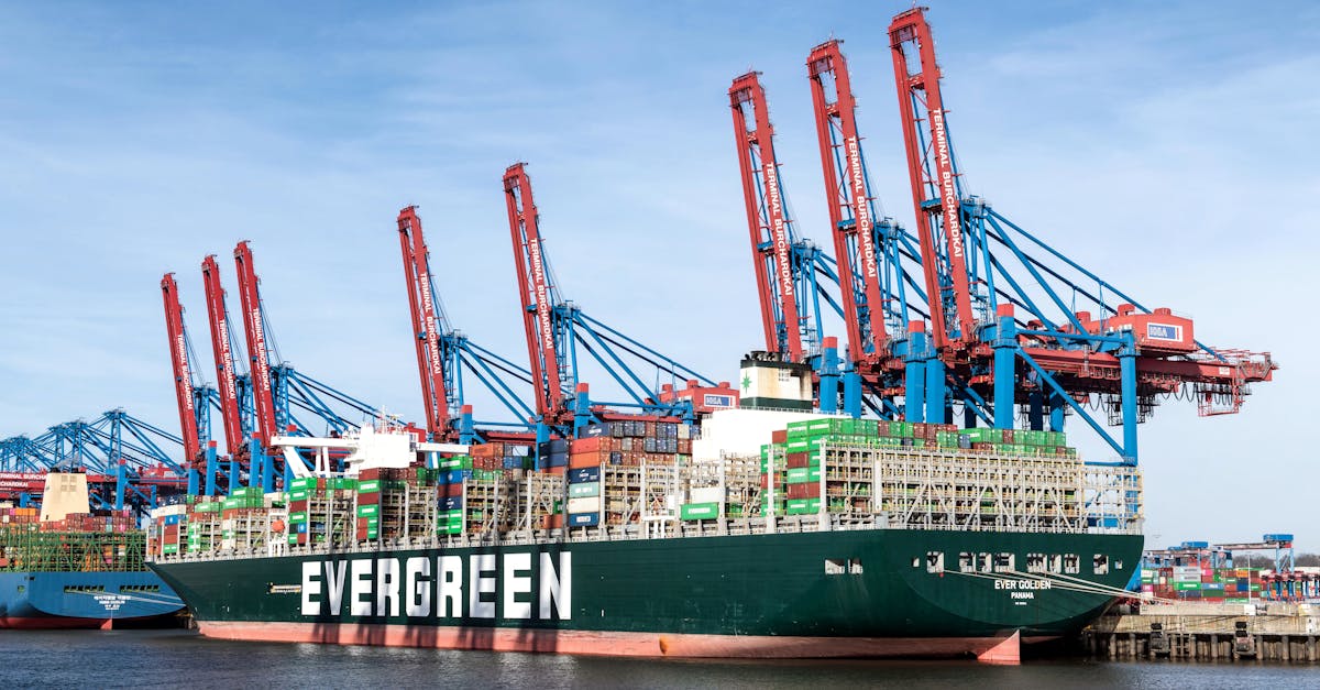 découvrez tous les équipements et accessoires pour les marins, ainsi que des astuces et conseils pour naviguer en toute sécurité avec mariners.