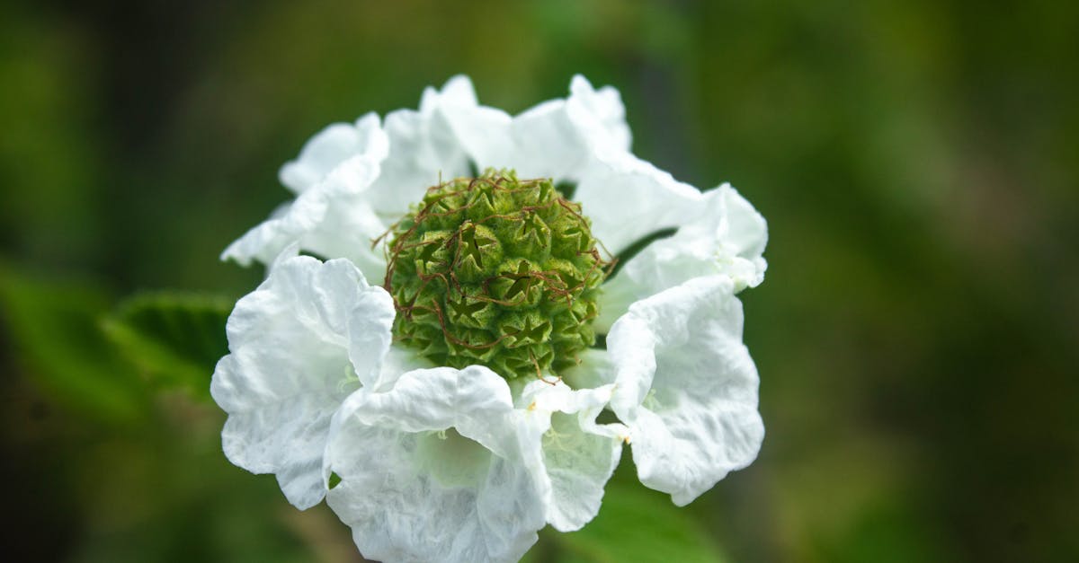découvrez un séjour en pleine nature pour vous ressourcer et vous reconnecter avec l'environnement lors d'un nature stay.