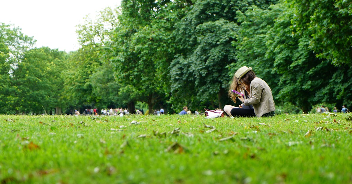 découvrez les parcs : espaces verts, jardins, et lieux de détente pour profiter de la nature en ville.